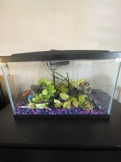 Fish Tank (10 gallon) & Supplies