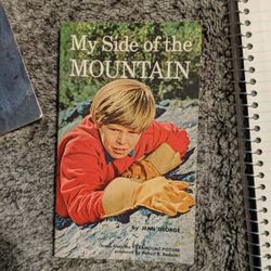 My side Of The mountain