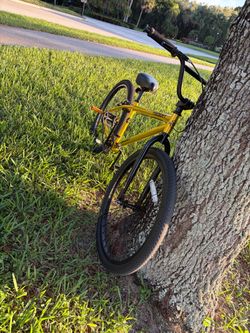 Trident cubsal bmx bike