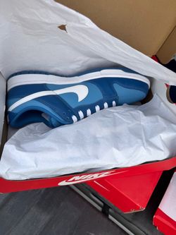 Nike Dunk Low Blue and White Sneakers size 12