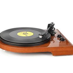 Turntable with Bluetooth Output Input, Vinyl Record Player with Build in Preamp