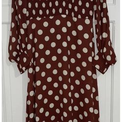 Brand New Zara Dress. Tag Attached. 