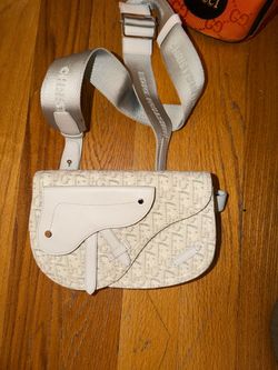 Dior saddle bag