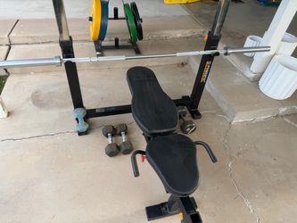 PowerTec bumper Plates & bench and plate tree