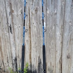 Shimano (2X) TDL 2-speed 30A Rod & Reel combos