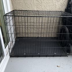 Dog Pet Create 