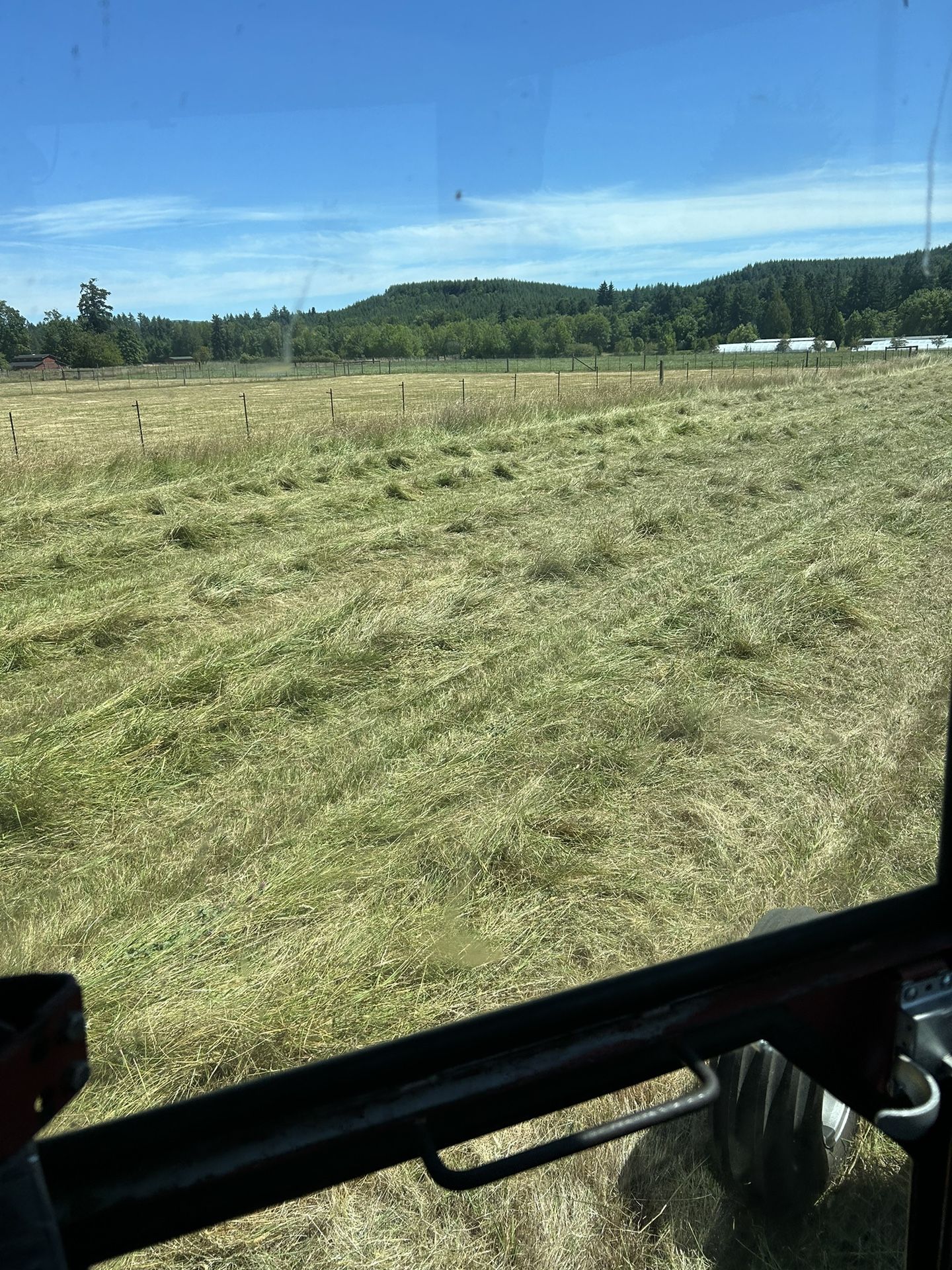 Hay