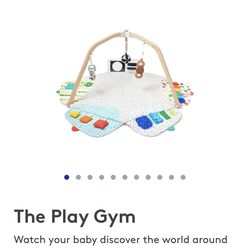 Lovery Playset/ Baby Delight Bouncer/ Baby Brezza