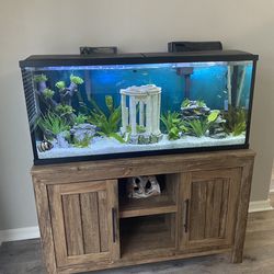 55 Inch Fish Tank 