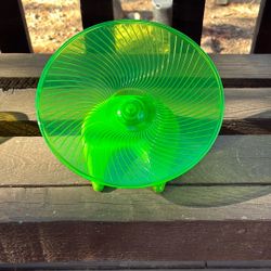 Hamster Wheel Saucer