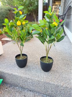 2Ft Artificial Lemon Trees, 2 Packs Large Artificial Plants Indoor with Black Pots Faux Potted Citrus Trees