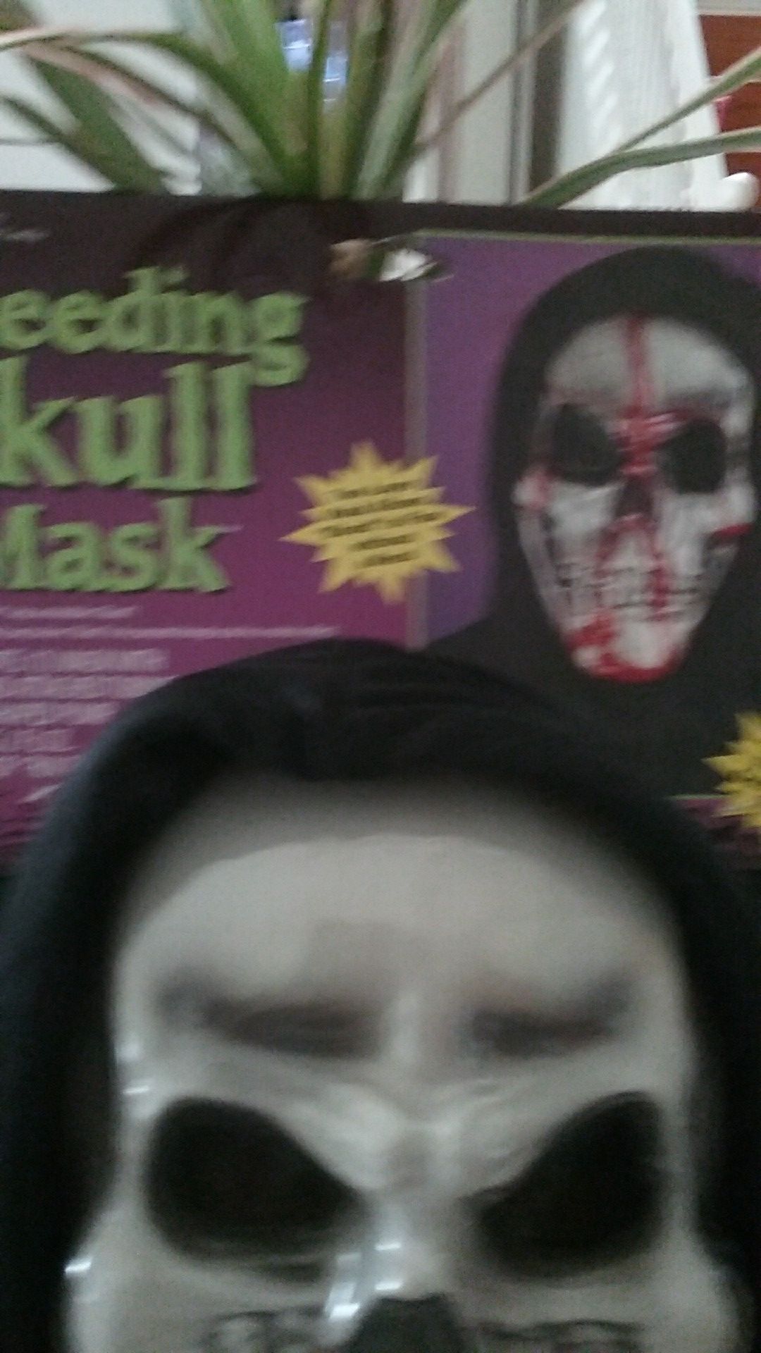 Mask