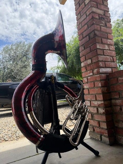 Grupo con Tuba