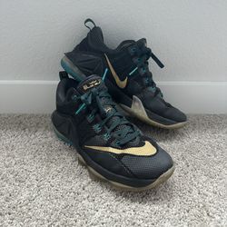 Nike LeBron 12 Low Carbon Fiber Size 11.5