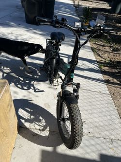 GoTrax Z4 Pro