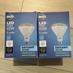 BR30 LED Bulbs 65w