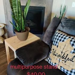 Multipurpose Stand