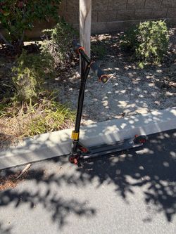 Mongoose Kids Scooter