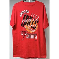 1993 Vintage Salem Chicago Bulls NBA World Champs T-shirt - Size Large