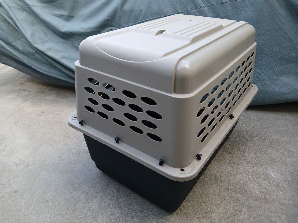 Dog Kennel