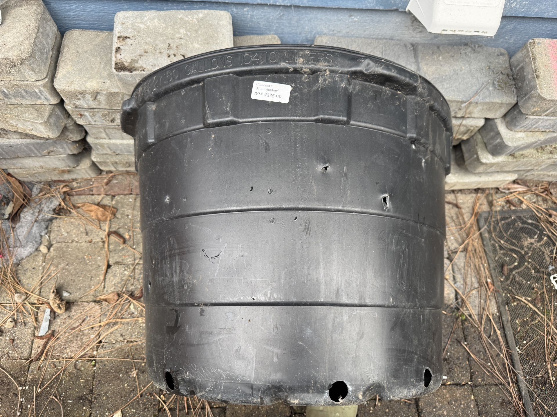 30 gallon nursery pot