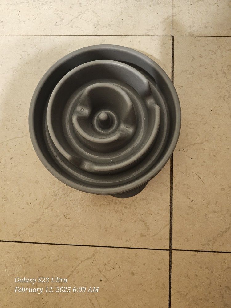 Dog Bowl