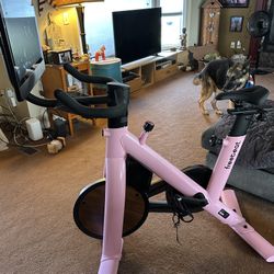 Freebeat Lit Bike