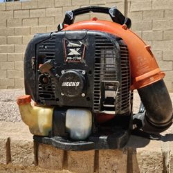 Echo Backpack Leaf Blower PB770
