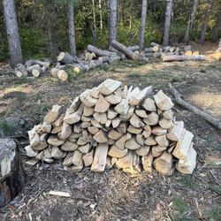 Pine Firewood