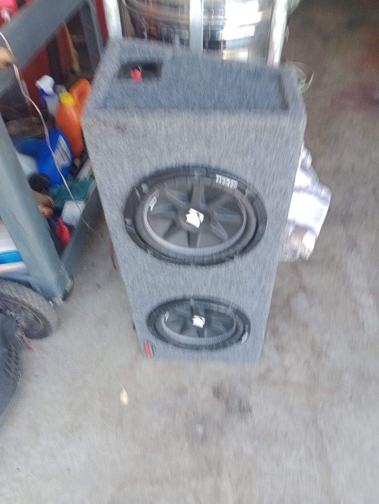 10 Inch Subwoofer