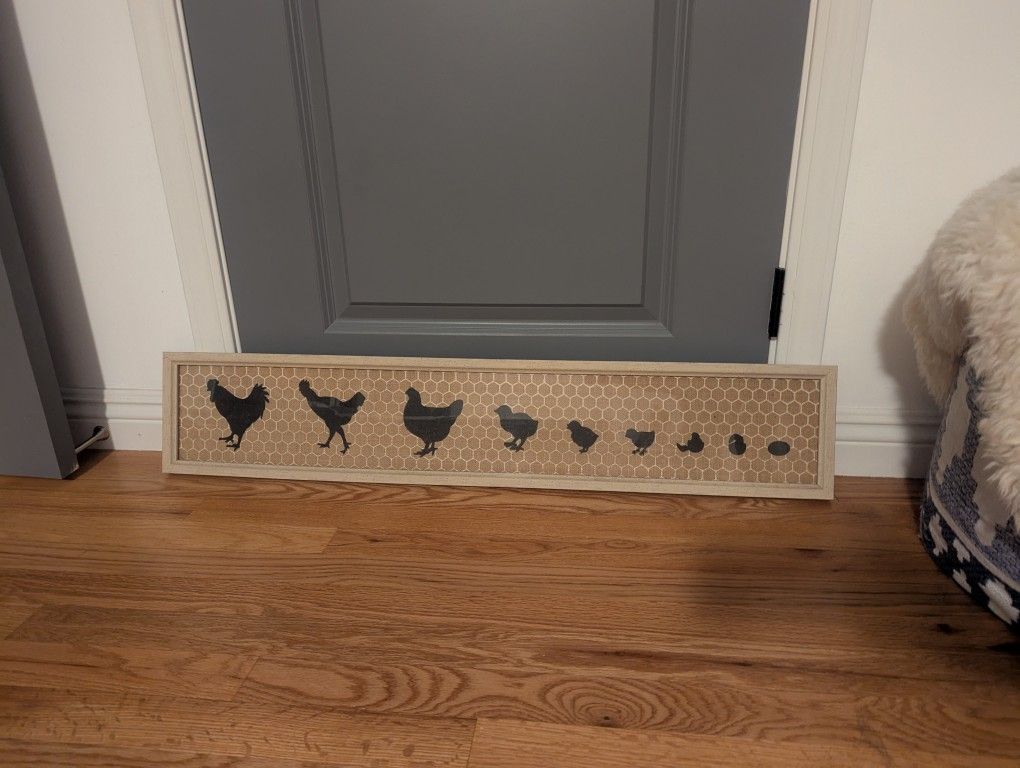 Egg To Chicken Frame