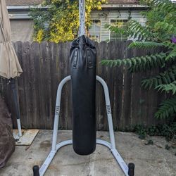 RDX Heavy Punching Bag + Everlast Stand