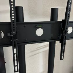 Mobile TV Mount