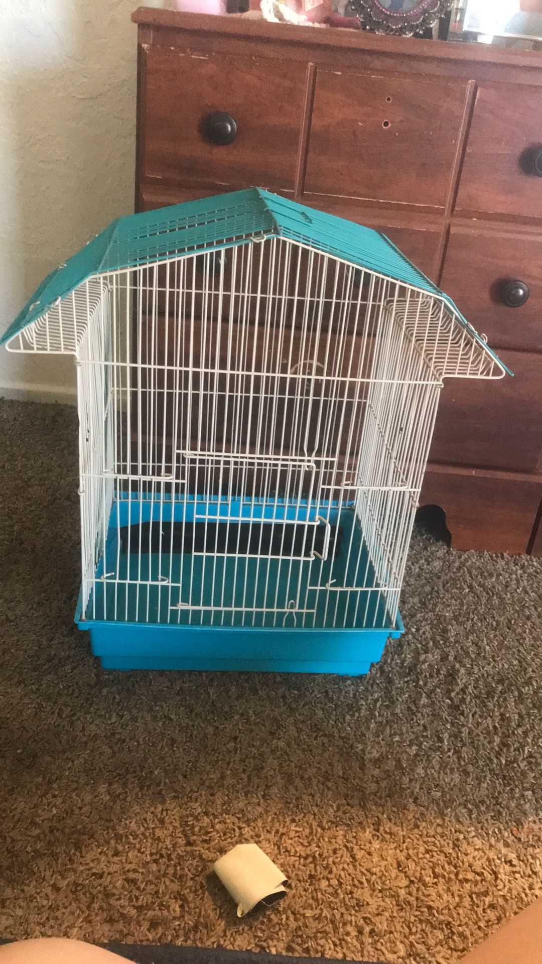 Blue Bird Cage
