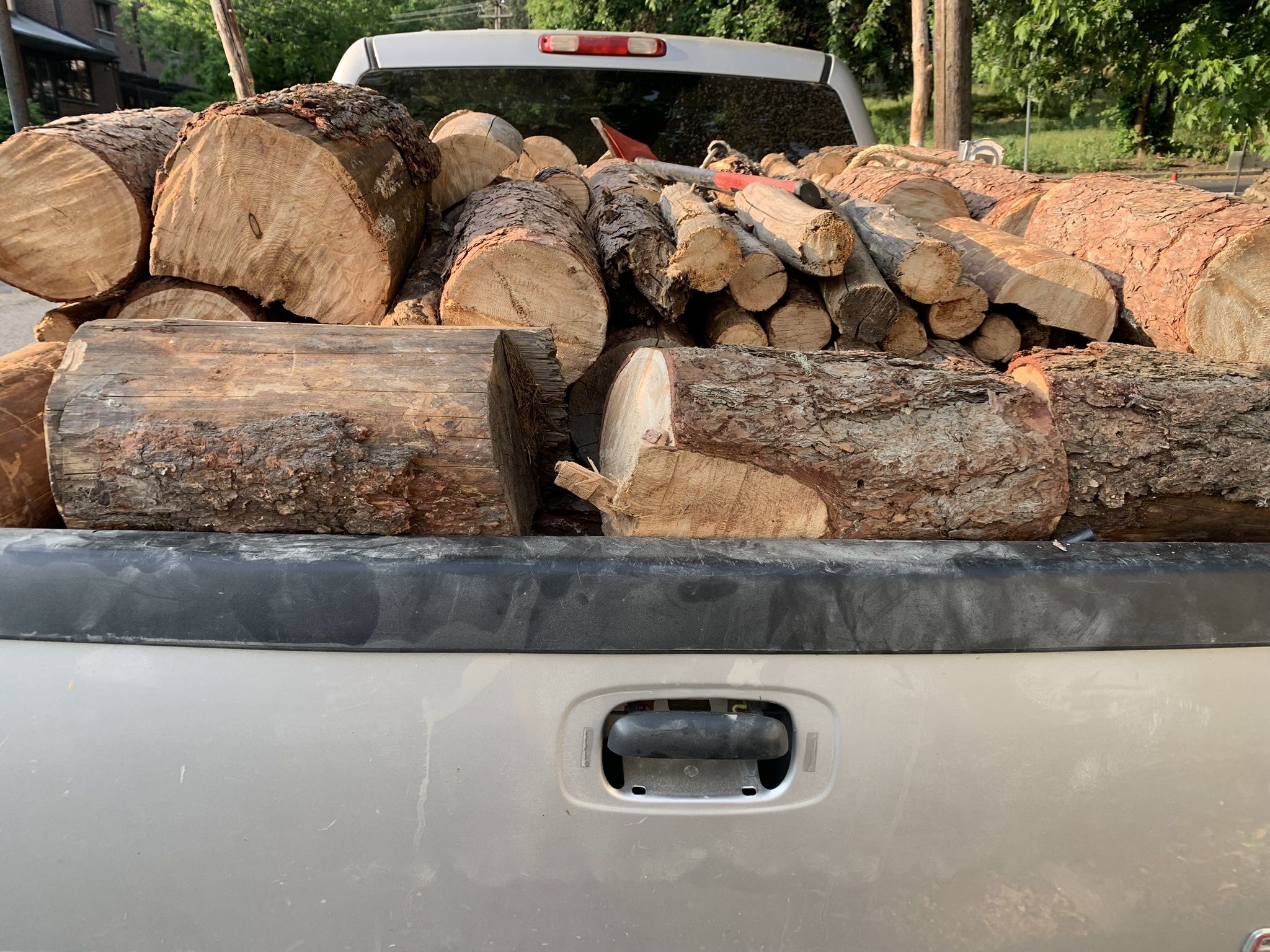 Firewood Tamarack