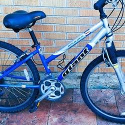 
Giant SE Boulder Mountain Bike