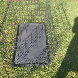 Dog Cage