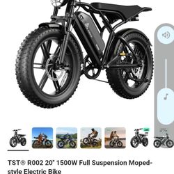 Plus Roo2 Ebike 