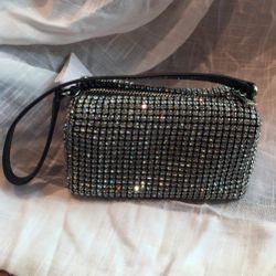 Alexander Wang Heiress Pouch in Crystal Mesh