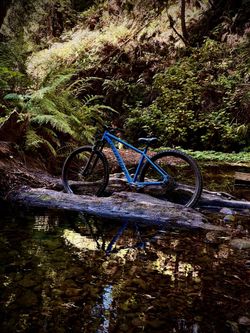 Specialized Rockhopper Expert 29-Gloss Sky Blue/Satin Black / Large