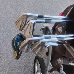 Sandra Palmer Vintage Clubs 