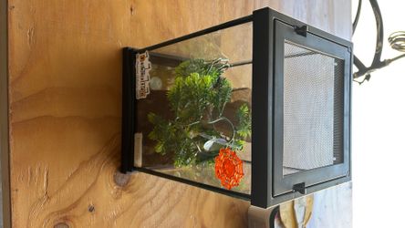 Critters tank