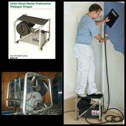 Steam master 2024 wallpaper steamer