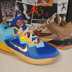 Nike Space Jam x LeBron 18 Low GS 'Wile E. x Roadrunner' DJ3760-401