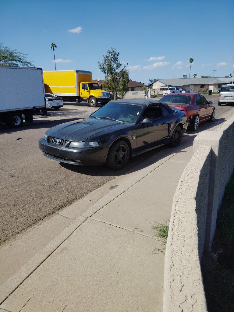 1999 Ford Mustang