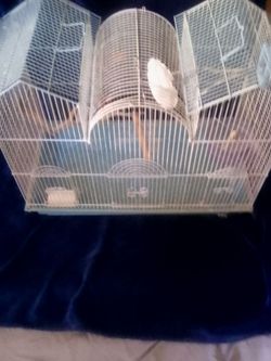 Bird cage