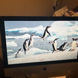 Apple Desktop Computer 