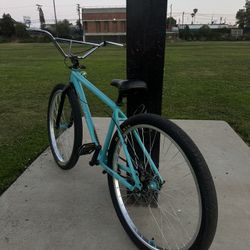 Throne 29er
