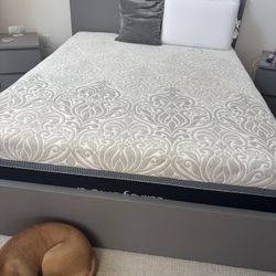 Bed Frame 