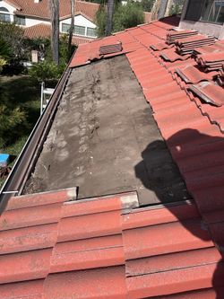 Torch Down, Shingles, Tile, TPO